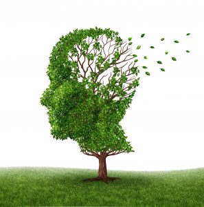 Picture of tree and grass. Tree is in the shape of a human head and some of the leaves are blowing out the back of the head.