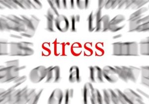 Text says "Stress" in red